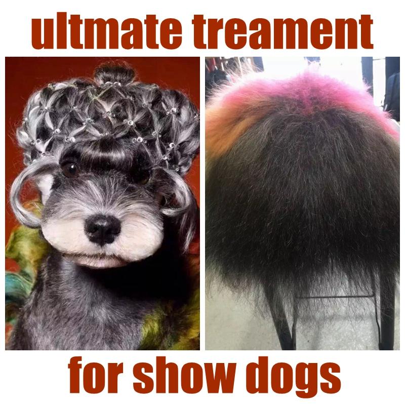 Dog hair treatment hotsell