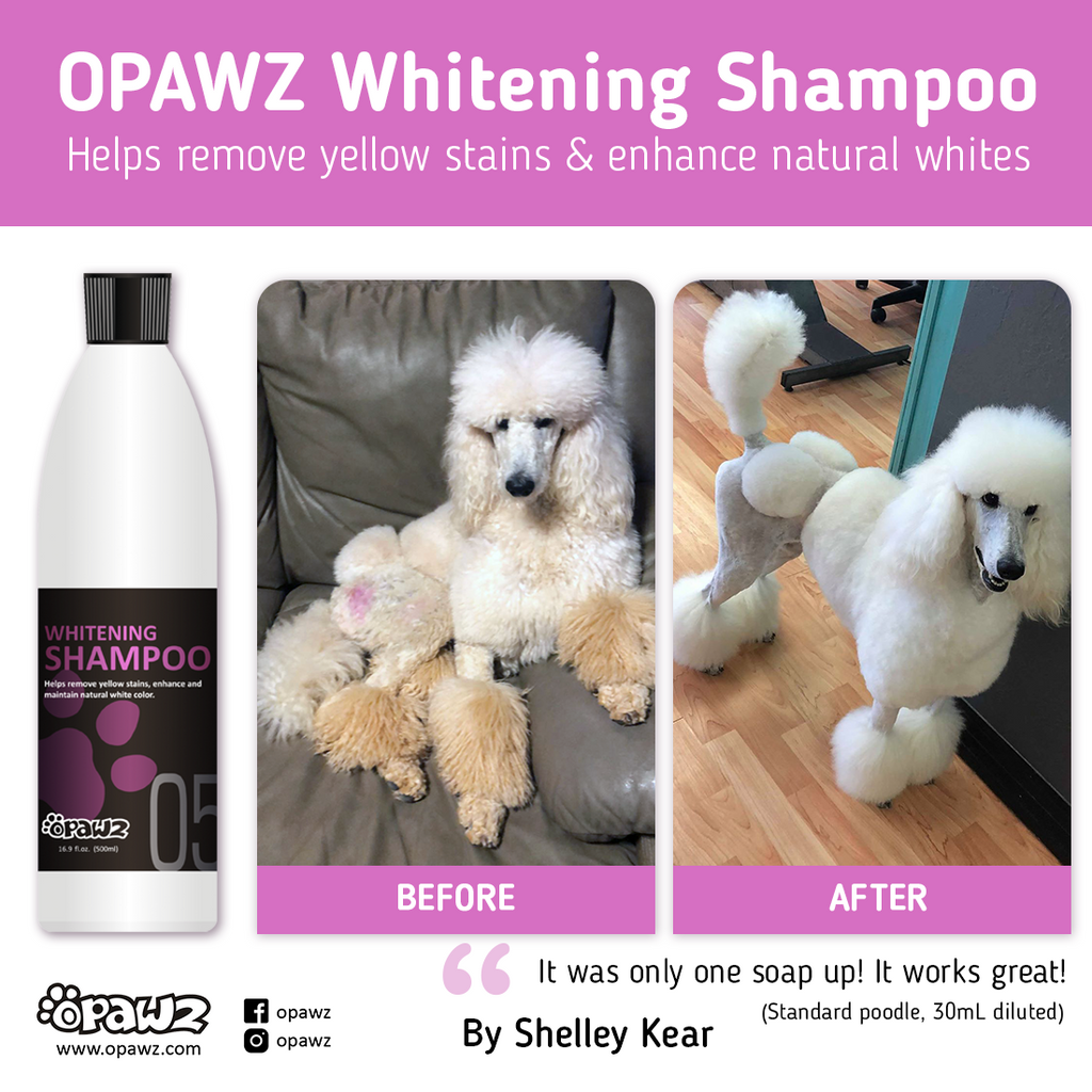 Plum white cheap dog shampoo