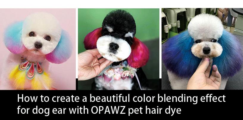 How to make 2024 dog fur soft