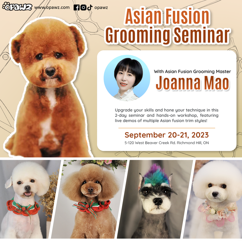 Seminars with Joanna Mao – OPAWZ Canada