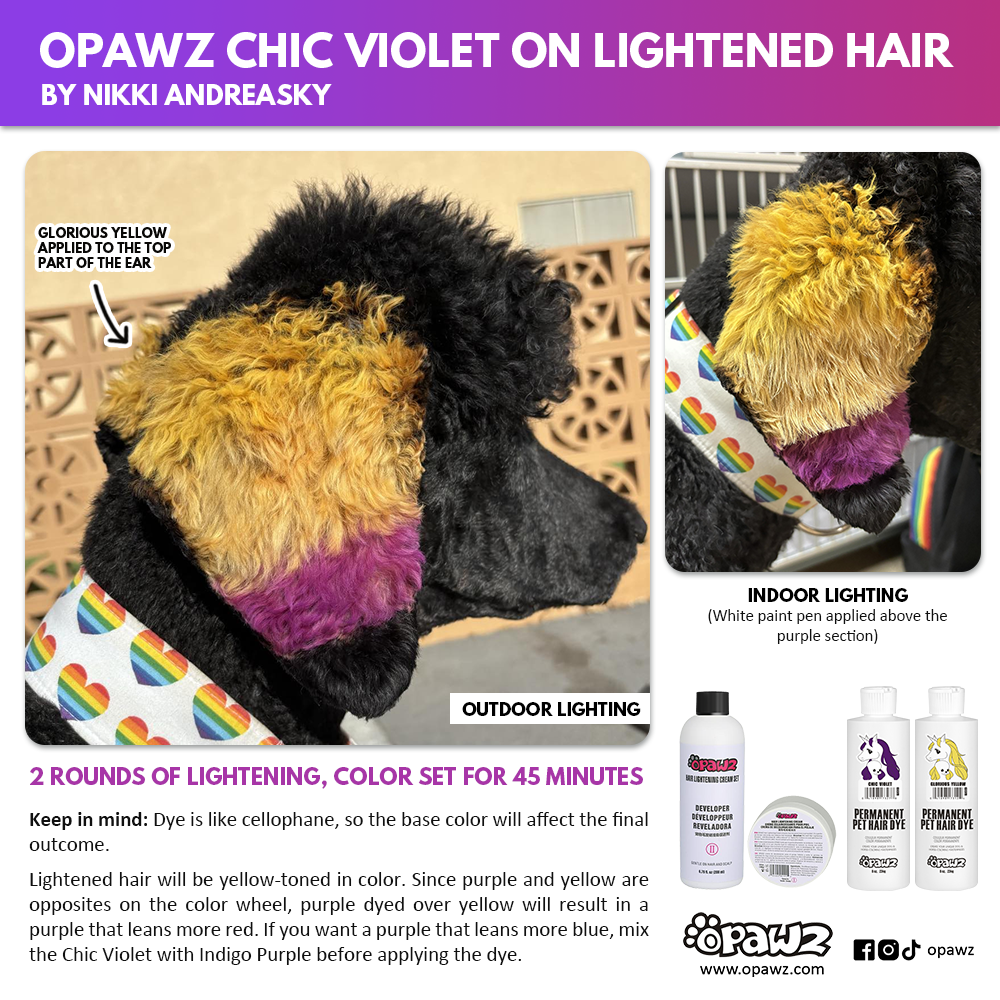 Dog Hair Dye - Chic Violet (PD28)