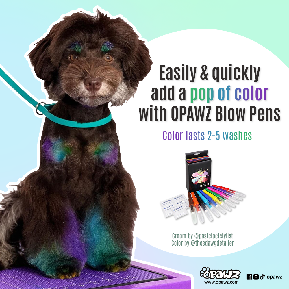 OPAWZ Blow Pen, 10 pcs/set (TB01)