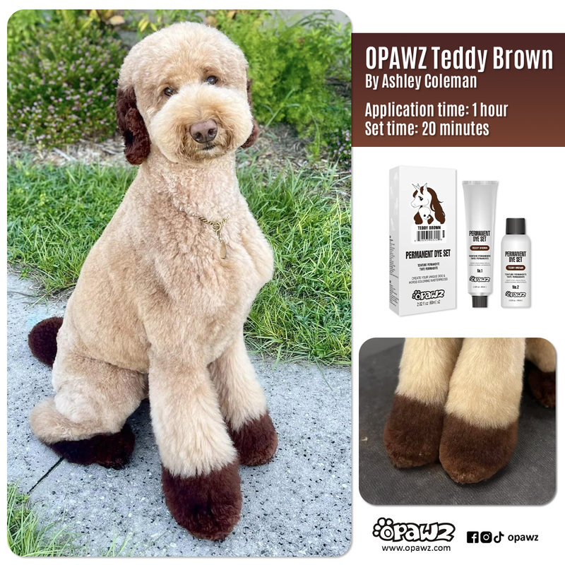 BUY 3 GET 1 FREE - Teddy Brown (VP67)