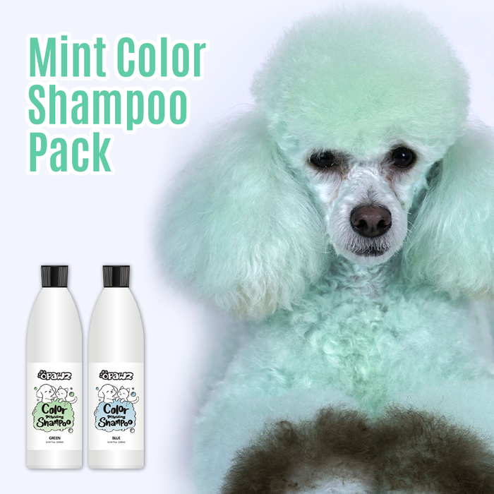 Mint Color Shampoo Pack (VP65)