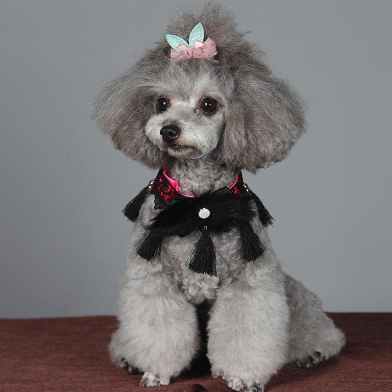 Poodle dog outlet collars