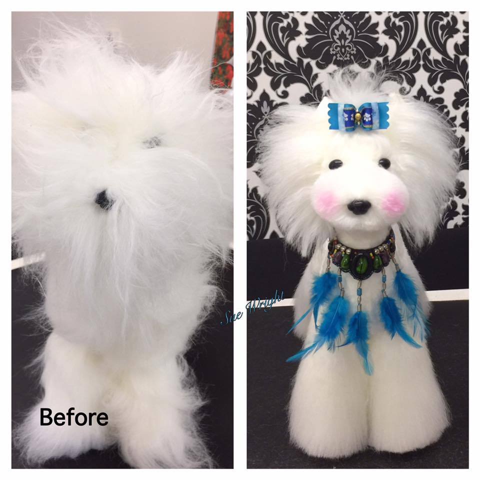 G & g toy poodles hotsell