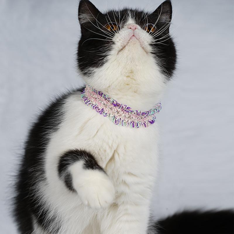 Lace cat shop collar